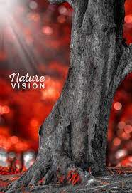 No matter what background your photo currently has, with this template you can easily replace it with a better one. Picsart Background Download Full Hd 2020 Kr Editing Picsart Background Blurred Background Photography Light Background Images