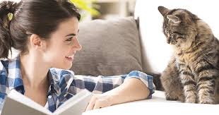 How Do You Get Ready For Your Pet S Housesitter Get Your Pet And Your House Ready Then Create A Guidebook Here S How Cats Your Pet Pets