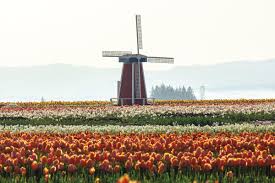 Weber august 05, 2021 post a comment Commune With The Blooms At Willamette Valley Flower Farms Portland Monthly