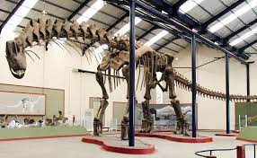 Argentinosaurus - Wikipedia