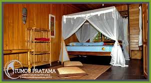 Maybe you would like to learn more about one of these? Rumah Kayu Ukuran 36 M2 6 X 6 Desain Minimalis Tipe 1 Kamar