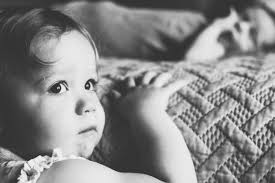 Kaitlin Hamilton Photography‎