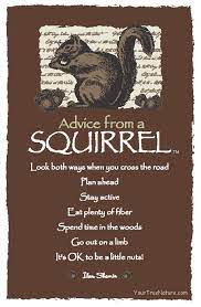 Find out the true meaning and symbolism of the squirrel in this special spirit animal analysis. Advice From A Squirrel Animal Spirit Guides Squirrel Words