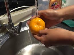 Experiment buah limau mandarin dari china. Takut Batuk Dan Sakit Tekak Ini Cara Betul Makan Limau Mandarin Yang Ramai Tak Tahu Lobak Merah