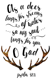 Don T Bite The Hand That Feeds You Bible Verse Pin On Jesus