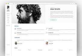Divi comes in 2 flavors: Resume Cv Vcard Portfolio Online Cv Professional Wordpress Themes Wordpress Portfolio Template