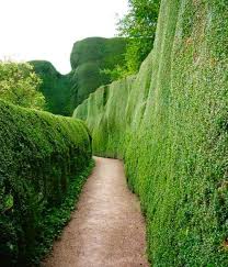 The Gardens At Powys Castle A Medieval Fortress Castle And Grand Country Mansion Near Welshpool Wales The Beautiful Gardens Garden Hedges Landscape Design