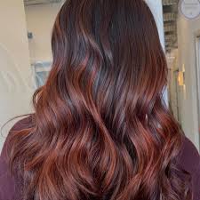 You can dye your hair auburn red with platinum blonde highlights for a contrast mixture. 11 Auburn Hair Color Ideas And Formulas Wella Professionals