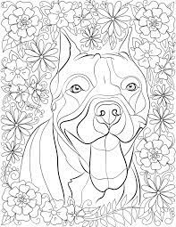 Check spelling or type a new query. Dog Puppy Dog Animal Coloring Pages For Adults Novocom Top
