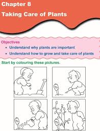 Grade 1 Science Lesson 8 Taking Care Of Plants Science Lessons Primary Science Grade 1