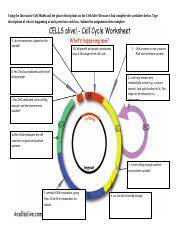 All of the above if you were studying the mature female gametophyte of a flowering plant, you would be studying the {blank}. Cells Alive Cell Cycle 2020 Virtual 1 Using The Interactive Cell Model And The Phase Descriptions On The Cellsalive Resource Link Complete The Course Hero