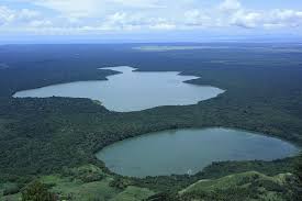 Wwf's first call to raise funds was the morges manifesto. Our History Wwf Wwfuganda