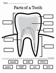 Free Printable Dental Health Worksheets Yahoo Image Search Results Dental Health Week Dental Health Activities Teeth Diagram