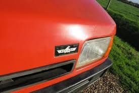 Image result for Damson Red 1994 Reliant