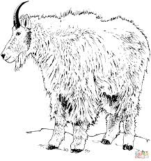 Disegni Di Capre Da Colorare Pagine Da Colorare Stampabili
