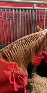 Bulk horse hair is sold in 1/2 pound and 1 pound bundles, and is available in blunt cut or natural tapered. Horse Hair Rubber Bands For Braiding And Banding Super Natural Bands By Healthy Haircare Healthy Haircare