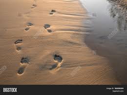 These cookies do not store any. Footsteps Sand Sunset Image Photo Free Trial Bigstock