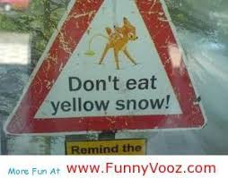 Awesome Don T Eat Yellow Snow Funny Signs Fun Signs Funny Road Signs Snow Signs
