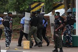 Ya ake hallaka kabo cheb hakim duo cheb chawkigenre Daily Trust Aminiya Yan Sanda Su Hallaka Yan Bindiga A Katsina
