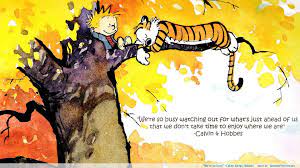 We have an extensive collection of amazing background images carefully chosen by our community. 16 Senior Quote Ideas Calvin And Hobbes Comics Calvin And Hobbes Quotes Calvin And Hobbes