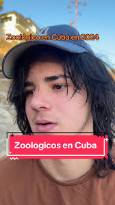 Audio Del Zoologico