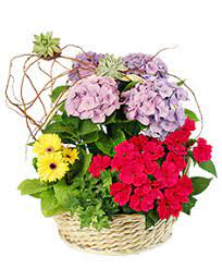 We use an extensive network of local long beach florists and have your. Indiana Florist Buy Flowers From Your Local Full Service Retail Flower Shops And Florists Serving Indiana