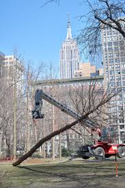 At the top they had four fence fasteners instead of two, making the fence more sturdy. Maya Lin Installs Ghost Forest Of Dead Trees In Midtown Manhattan