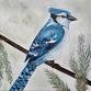 Blue Jay Paint & Sip - The Allies Pub, 426 Broadway St Ste 130 Event Image