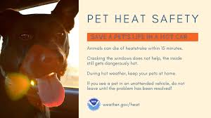 Medrite urgent care atlantic beach. Afc Urgent Care Aston On Twitter An Excessive Heat Warning Is Now Active Until Tomorrow At 8 Pm Remember Never Leave Your Pet Inside A Car In This Weather Protect Your Four Legged