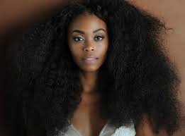 Nafessa Williams Has Been Busy In The Last Several Years Black Lightning Protective Hairstyles For Natural Hair William Black
