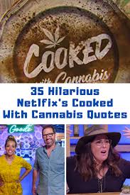 This parrot is no more! 35 Hilarious Netflix S Cooked With Cannabis Quotes Guide For Geek Moms