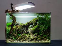 A complete co2 system with an elegant nano design. Simon S Aquascape Blog