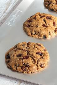 Paleo Vegan Oatmeal Cookie Recipe A Must Try Cookies Recipes Christmas Paleo Oatmeal Cookies Cookie Recipes