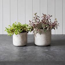 We did not find results for: Best Plant Pots 20 Indoor And Outdoor Planters And Pots