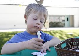 Helmers students show off sustainability skills