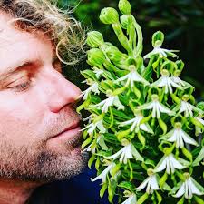 South Africa's Gold winning display at this year's RHS Chelsea Flower Show.  It's our biggest display yet with up to 25000 stems of fynbos cut flowers.  This year's display was inspired by