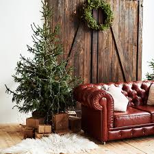 Entre y conozca nuestras increíbles ofertas y promociones. Como Elegir Un Arbol De Navidad Natural Y Claves Para Cuidarlo Foto 1