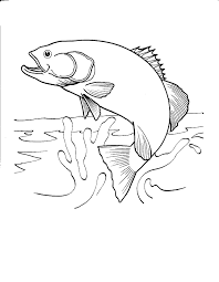 Abcmouse.com has more than 2,000 printable activities across reading, math, art and colors, and more. Pin On Honey Look