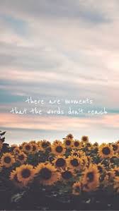 Moments Words Dont Reach Dont Moments Planode Bildschirmhintergrund Spruche Sonnenblumen Tapete
