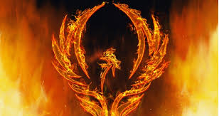 Phoenix os brings you the joy on mobile games to your pc. Like The Phoenix Finding New Life In An Online Course Faculty Focus