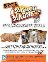 Come visit us at one of our adoption events in the cincinnati area! Pin On Pet Adoption Marketing Ideas