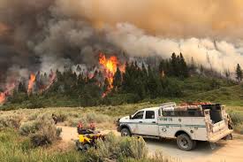 Pine Gulch Fire Now 4th Largest In Colorado History Colorado Public Radio Find & download free graphic resources for fire trees. pine gulch fire now 4th largest in