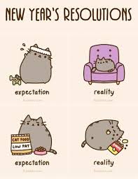 New Year S Resolutions Pusheen Cat Pusheen Funny