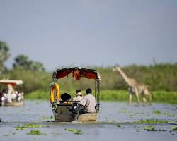 Image of Boat safari in Ruaha National Park