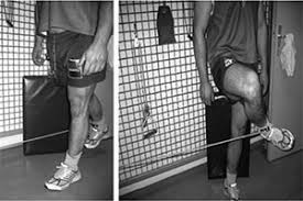 La pubalgie du sportif se manifeste par une douleur des adducteurs et du pubis. Approche Therapeutique Et Preventive Des Pubalgies