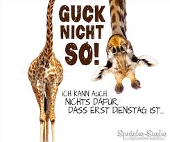»herzog ward der genannt, der vor dem heere her zog.«. Lustiger Spruch Mit Giraffe Zum Dienstag