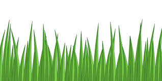 A Simple And Delicious Cocktail For Holiday Entertaining Cartoon Grass Grass Drawing Grass There are 469 grass cartoon for sale on etsy, and they cost $17.00 on average. cartoon grass grass drawing grass