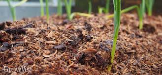 Maybe you would like to learn more about one of these? The Pros And Cons Of Mulching
