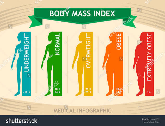 Woman Body Mass Index Info Chart Stock Vector (Royalty Free) 1146462977 |  Shutterstock