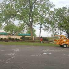 Whether your job calls for a crane, or a bucket truck, we have a full fleet always available. Coulter S Tree Service Tree Care Maintenance Removal Tulsa Ok